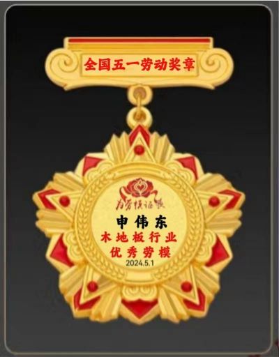 木地板優(yōu)秀行業(yè)優(yōu)秀勞?！陚|